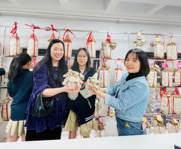 THCS-VP | TỪ NHỮNG BỊCH PH&Ocirc;I ĐẾN TAI NẤM TƯƠI NGON