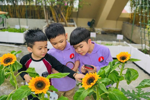 MG-VH | KH&Aacute;M PH&Aacute; B&Agrave;I HỌC VỀ TỎA S&Aacute;NG THEO C&Aacute;CH RI&Ecirc;NG